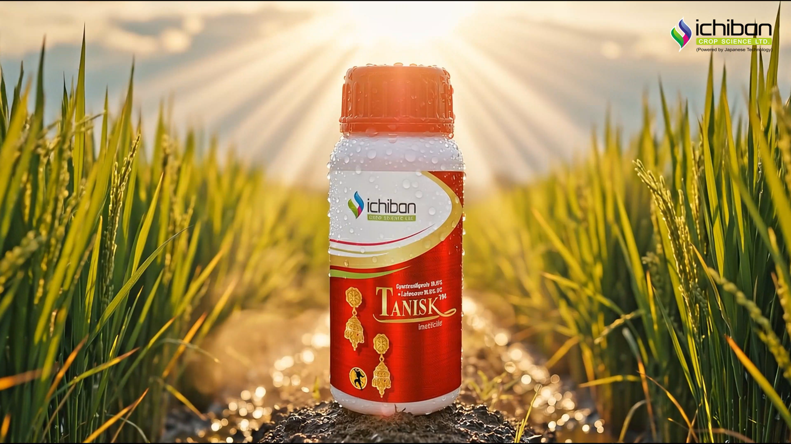 Tanishk| Ichiban Cropscience Ltd.